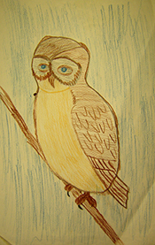 Preschool and elementary school art, John O'Keefe Jr colored pencil drawing of an owl, created when he was seven years old